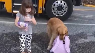 Perrito espera a su pequeña dueña para ayudarle a cargar la mochila