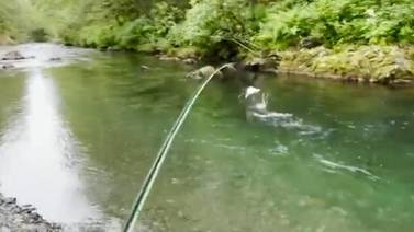 VIDEO VIRAL: Águila sorprende a pescador y le termina ganando su pez