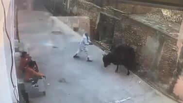 VIDEO: ¡Karma! Hombre golpea a toro en la calle y este se defiende atacándolo 