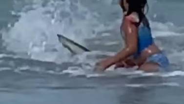 Impresionante video de un tiburón que casi logra atacar a una niña se vuelve viral