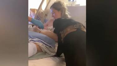 VIDEO VIRAL: Perrito acompaña a su dueña durante su parto