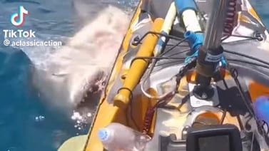 Joven graba el momento preciso en el que es atacado por un tiburón en su bote