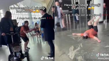 VIDEO VIRAL: Hombre entra en pánico al ver que aerolínea perdió a sus cuatro perros