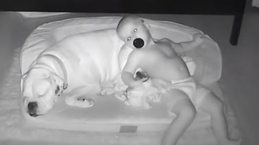 ¡Adorable! Bebé escapa de su cama para dormir en la camita de su perrito