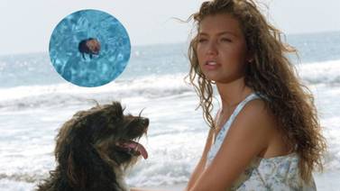 Al estilo "Marimar", Thalía salva a un animalito que estaba a punto de morir ahogado