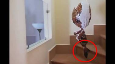 VIDEO: Captan globo poseído, bajando las escaleras solo