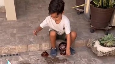 Niño se vuelve viral en TikTok por jugar con las cenizas de su abuela