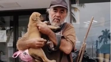 VIDEO: Ancianito en situación de calle pide ayuda para localizar a su cachorrita que fue robada