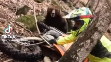 TikTok: Sujeto se salva del ataque de un oso por el ruido de una moto