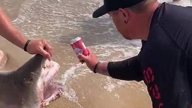 VIDEO VIRAL: ¡Indignante! Pescadores usan la mandíbula de tiburón para abrir una cerveza
