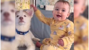 Una dulce amistad entre una bebé y un perrito conmueve a las redes sociales