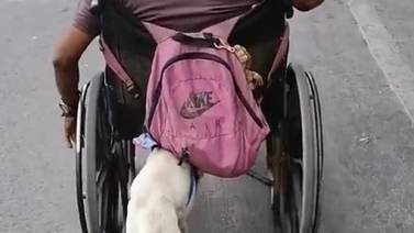 VIDEO VIRAL: perrito ayuda a su dueño discapacitado a empujar su silla de ruedas