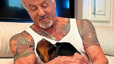 ¡Sin pensarla! Sylvester Stallone cubre tatuaje de exesposa con el de su perro "Butkus" 