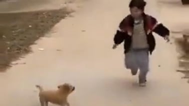 Así reaccionó este cachorrito al ver llegar a su pequeño dueño de la escuela