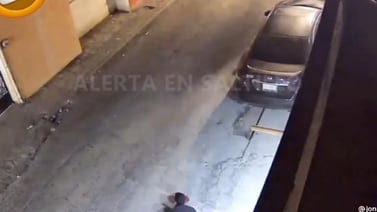 VIDEO VIRAL: Perritos frustran a un ladrón que intentó entrar a su casa