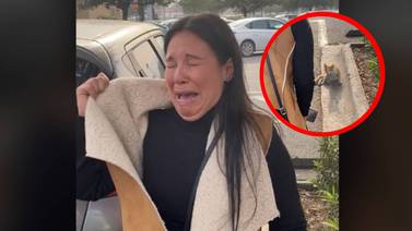 VIDEO: Mujer rompe en llanto por no poder rescatar a un gatito de la calle