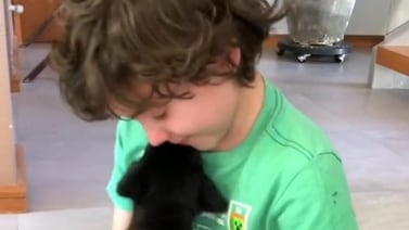 Niño se vuelve viral en TikTok por su reacción al recibir un cachorrito de regalo