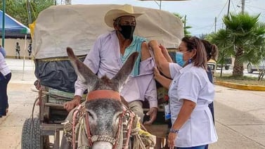 Querer es poder: Abuelito llega en burro a vacunarse