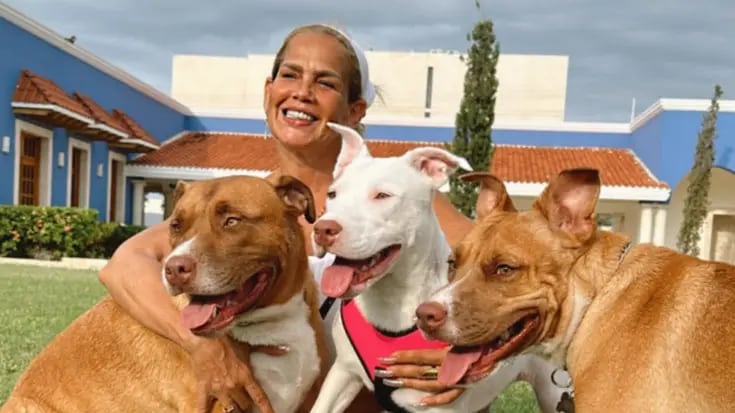 Niurka Marcos se burla de quienes aseguran que adopta perritos para sacrificarlos en rituales de santería