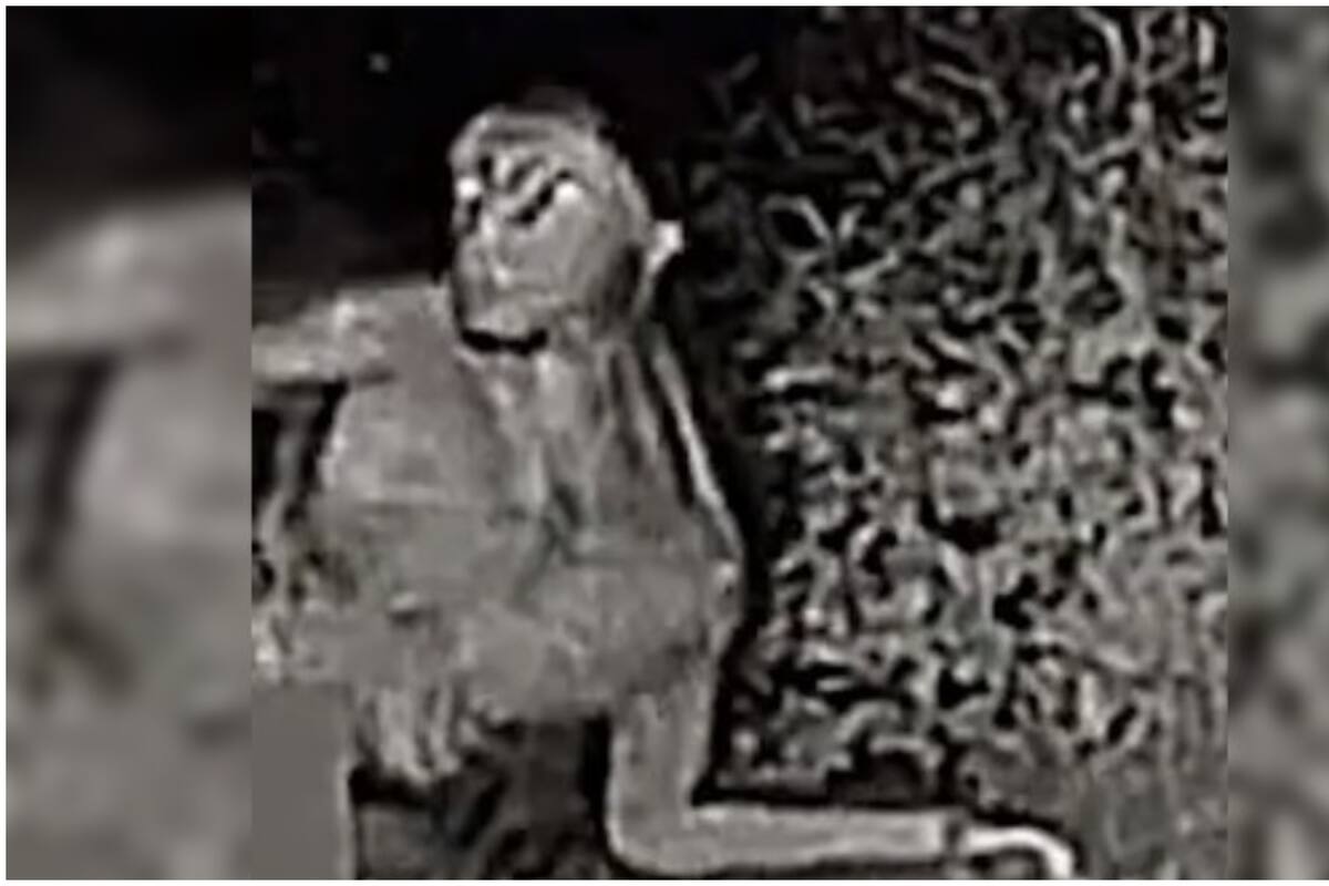 TikTok: Un video viral muestra un supuesto "alienígena" merodeando en patio trasero de una casa