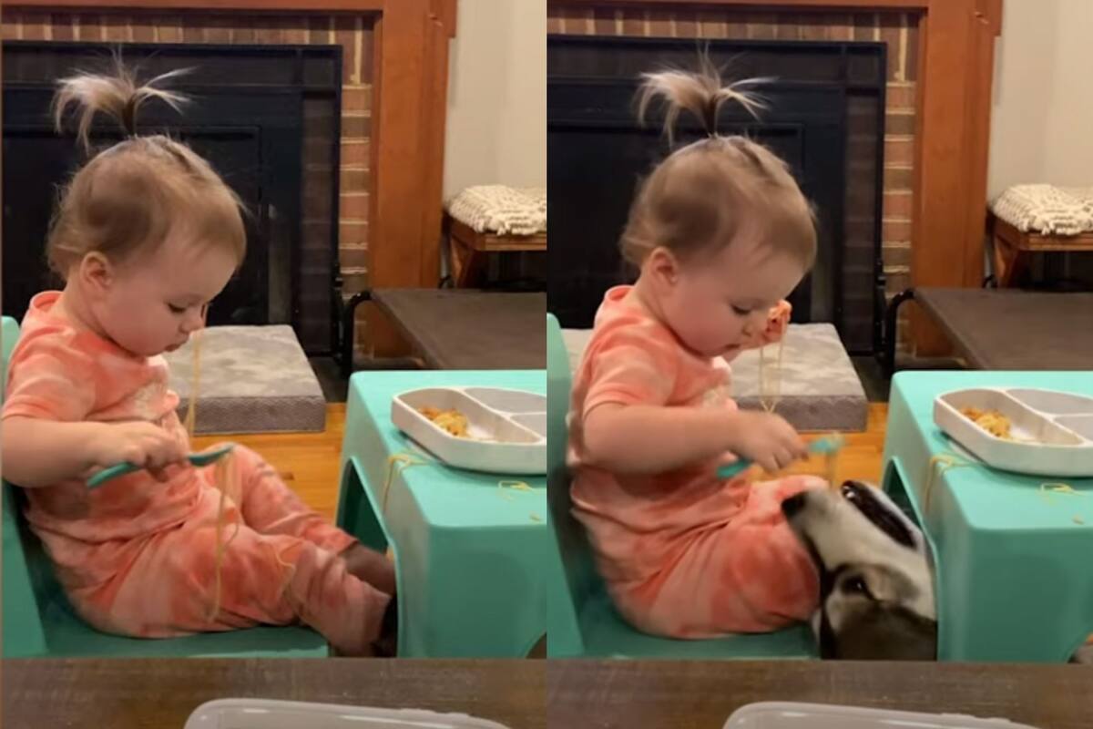 Mamá sorprende a su hija alimentando al perro con espagueti