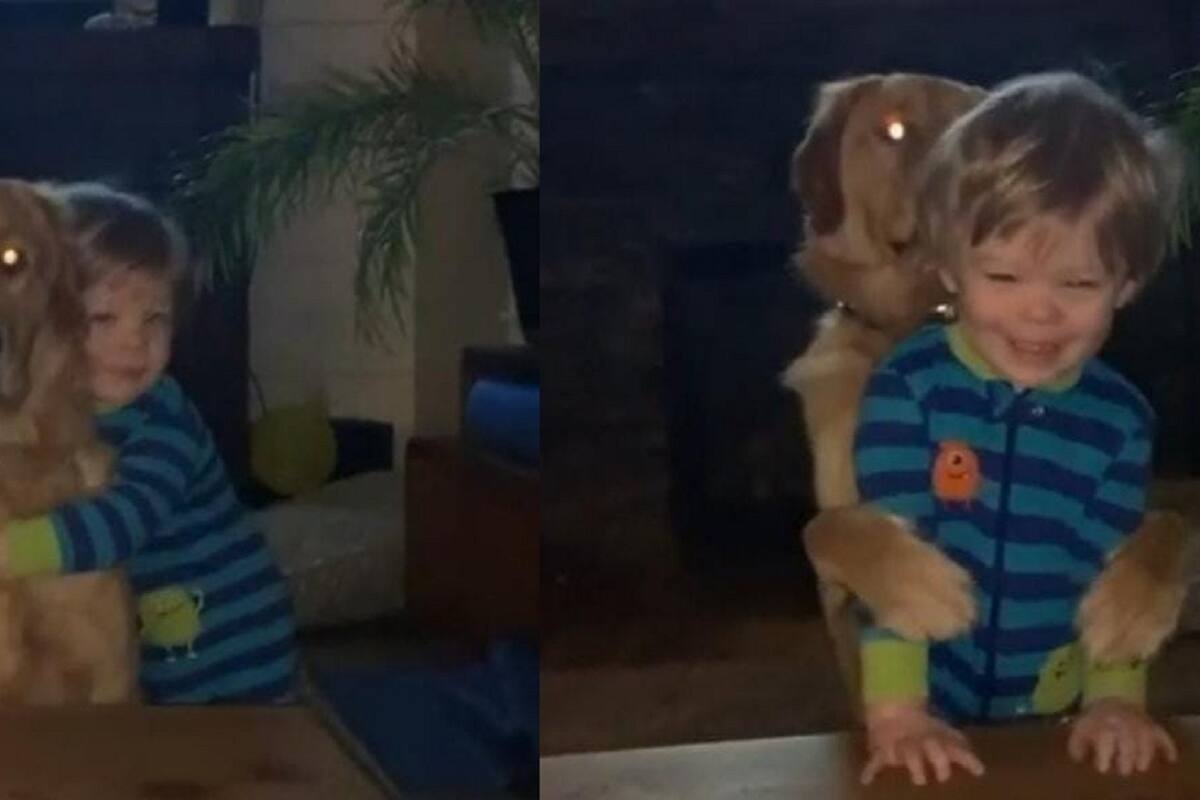 Perrito causa la ternura de todo internet luego de que le regresara el abrazo a su dueño