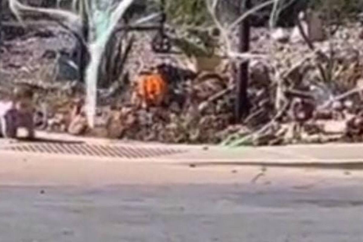 Joven encuentra a una bebé gateando completamente sola en la calle