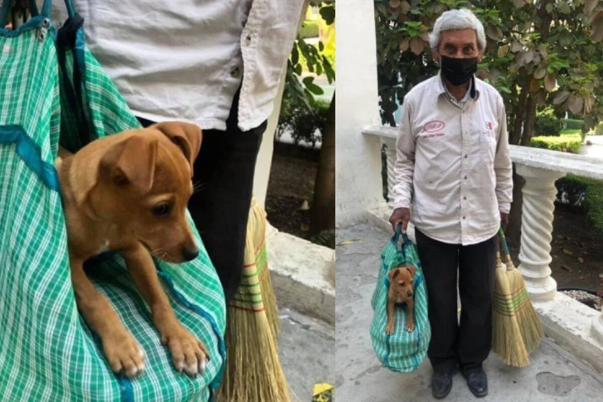 Anciano vende escobas junto a su cachorro adoptado para no dejarlo solo