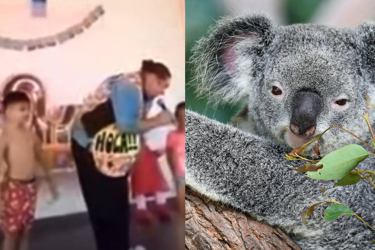 “¿Cómo se llaman los animales que comen hierbas”?: niña revela su verdadero nombre en Tiktok