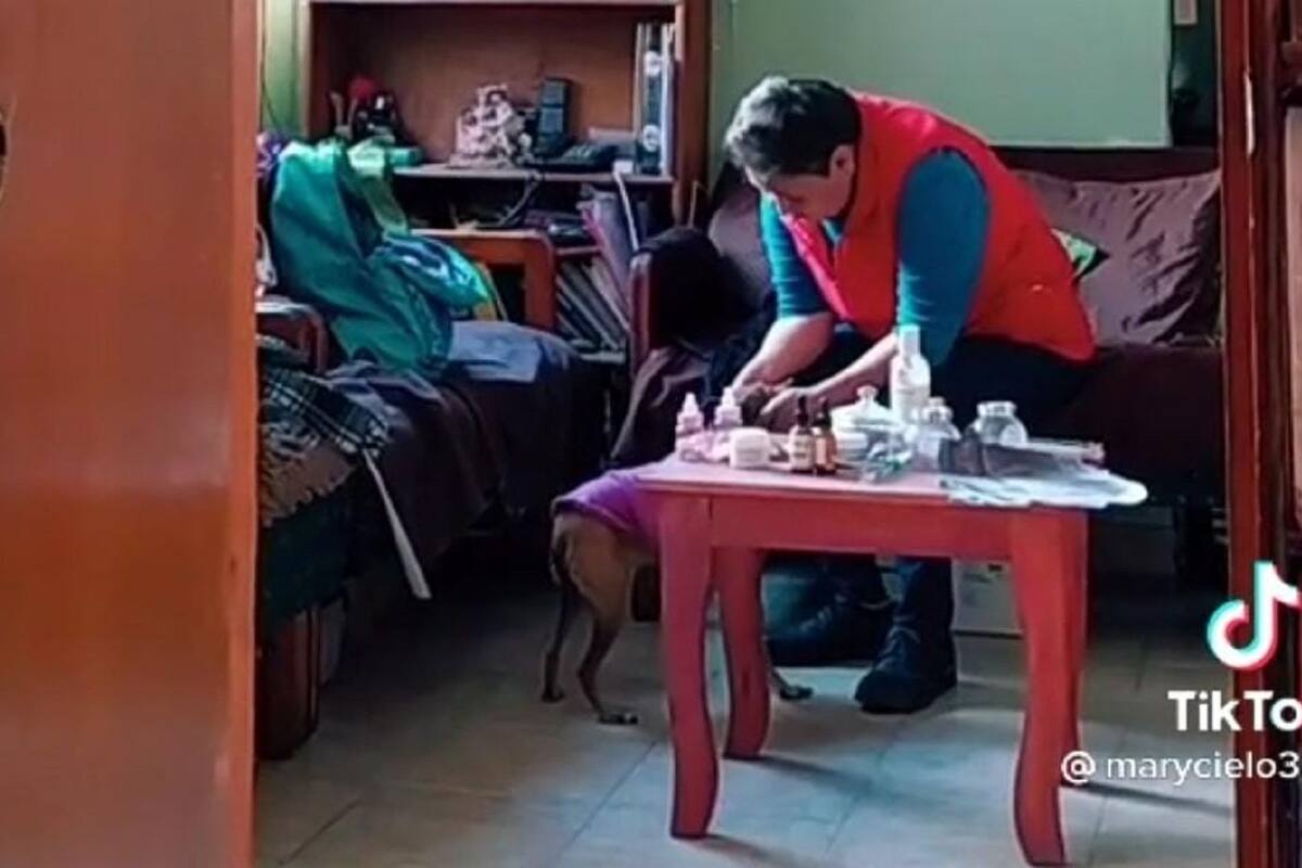 Señora conmueve a todo TiTok al aconsejarle a su perrita que le pida a Dios que la cure