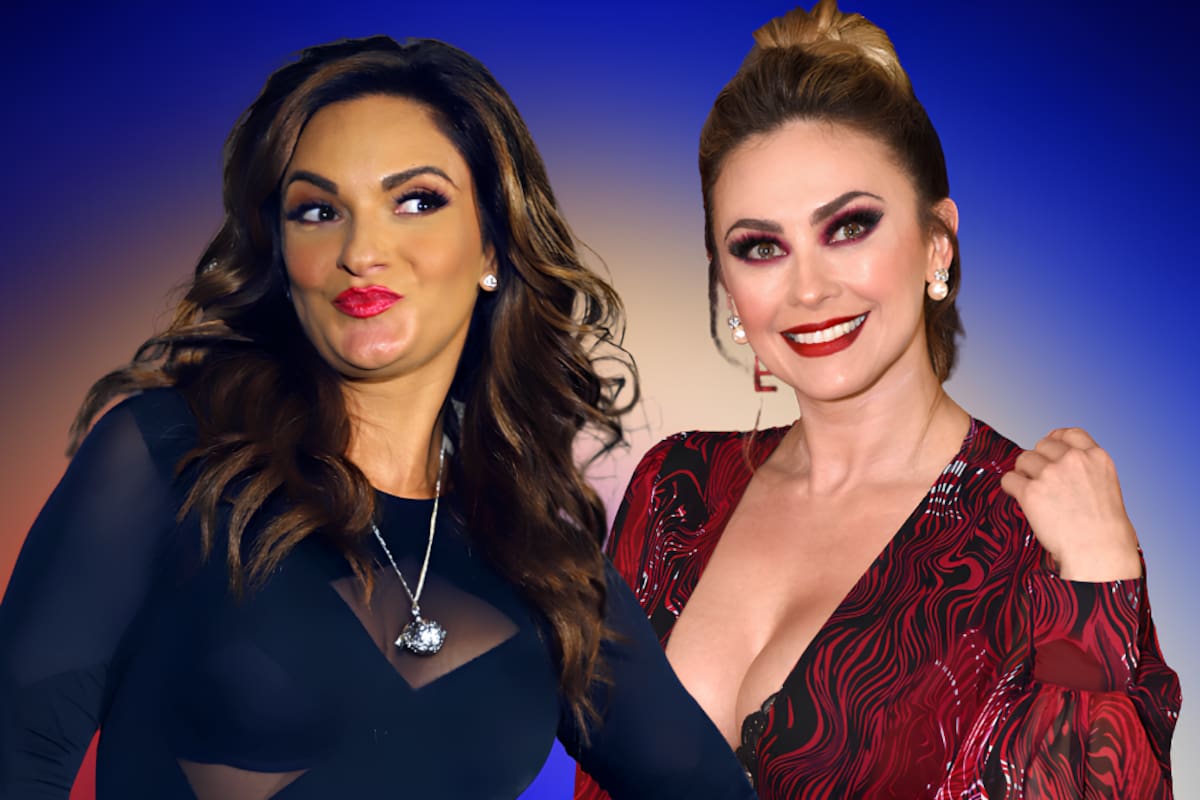 ¡Mariana Seoane DEFIENDE a Luis Miguel!: asegura que Aracely Arámbula sólo quiere MÁS dinero