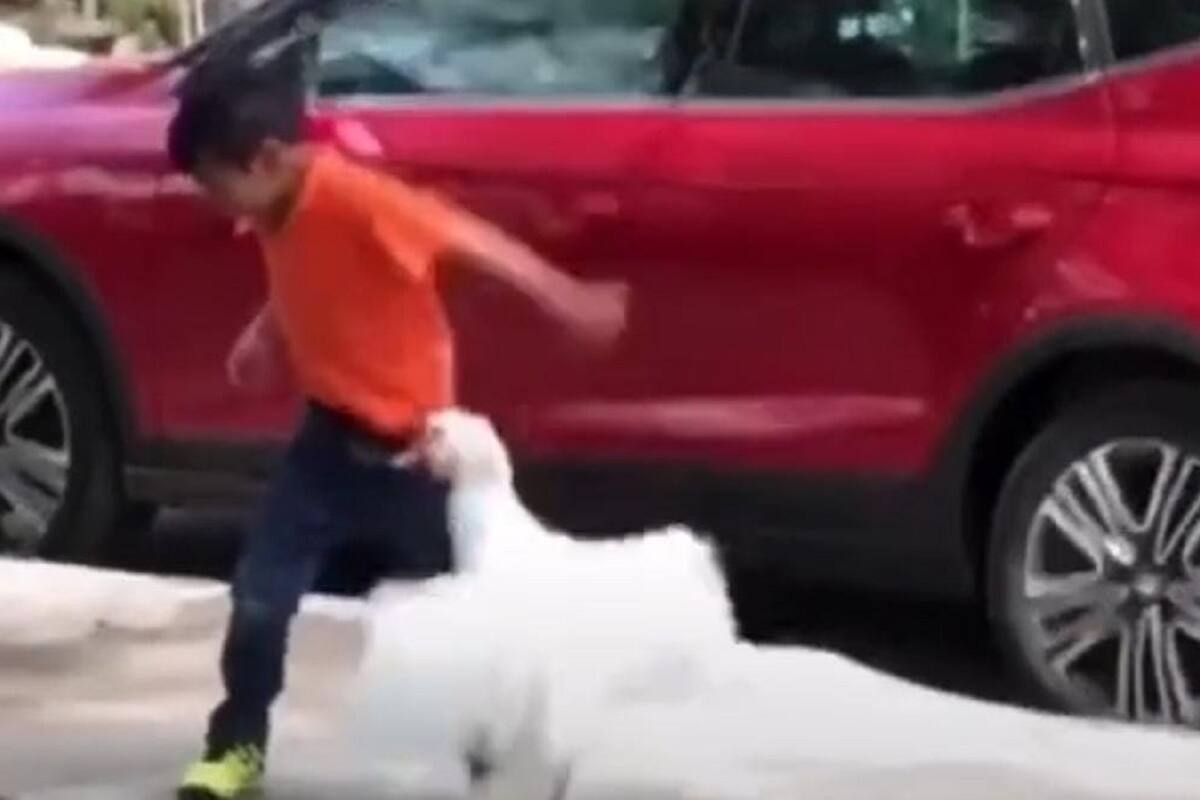 Pato se venga con tremenda mordida de niño que los estaba molestando