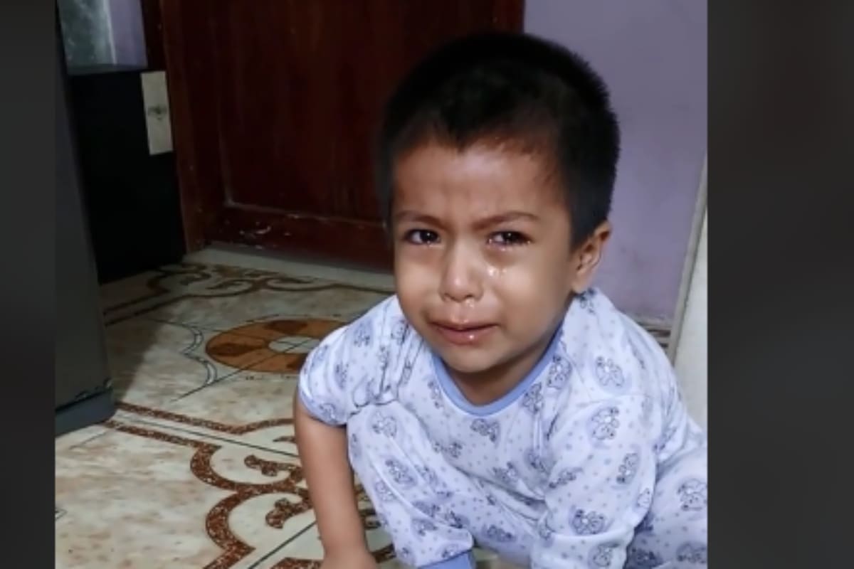 Tiktok: Niño llora porque su mamá lastima a un ratón, el cual dice es su hijo