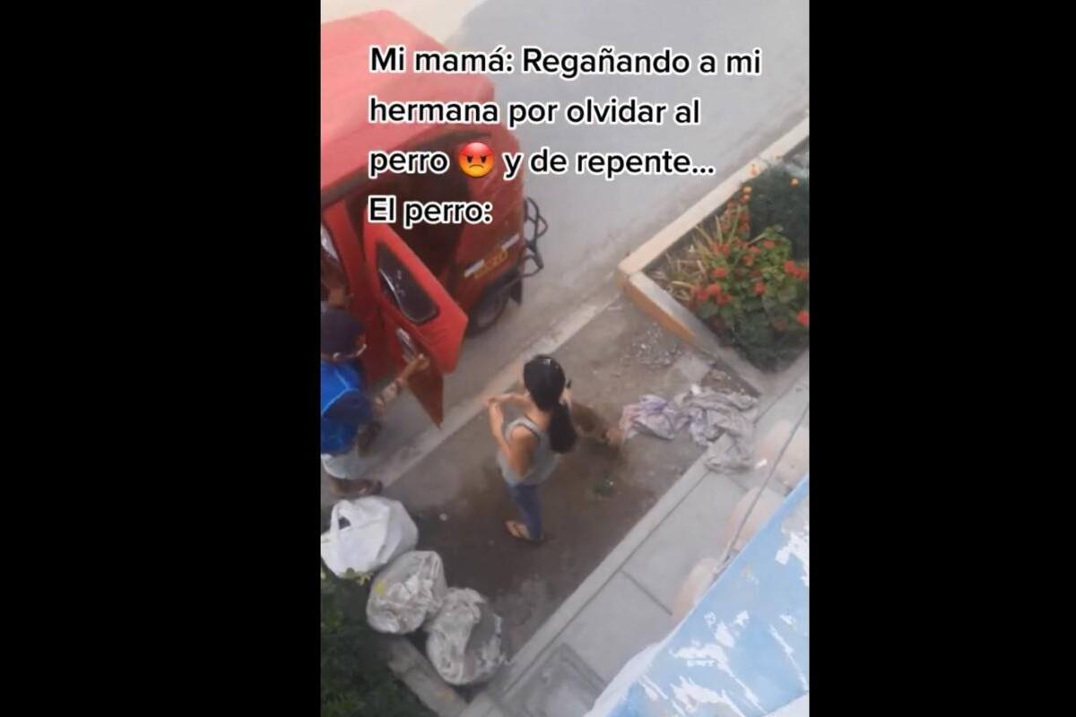 VIDEO: Perro regresa a casa después de ser olvidado por su dueña en 'mototaxi'