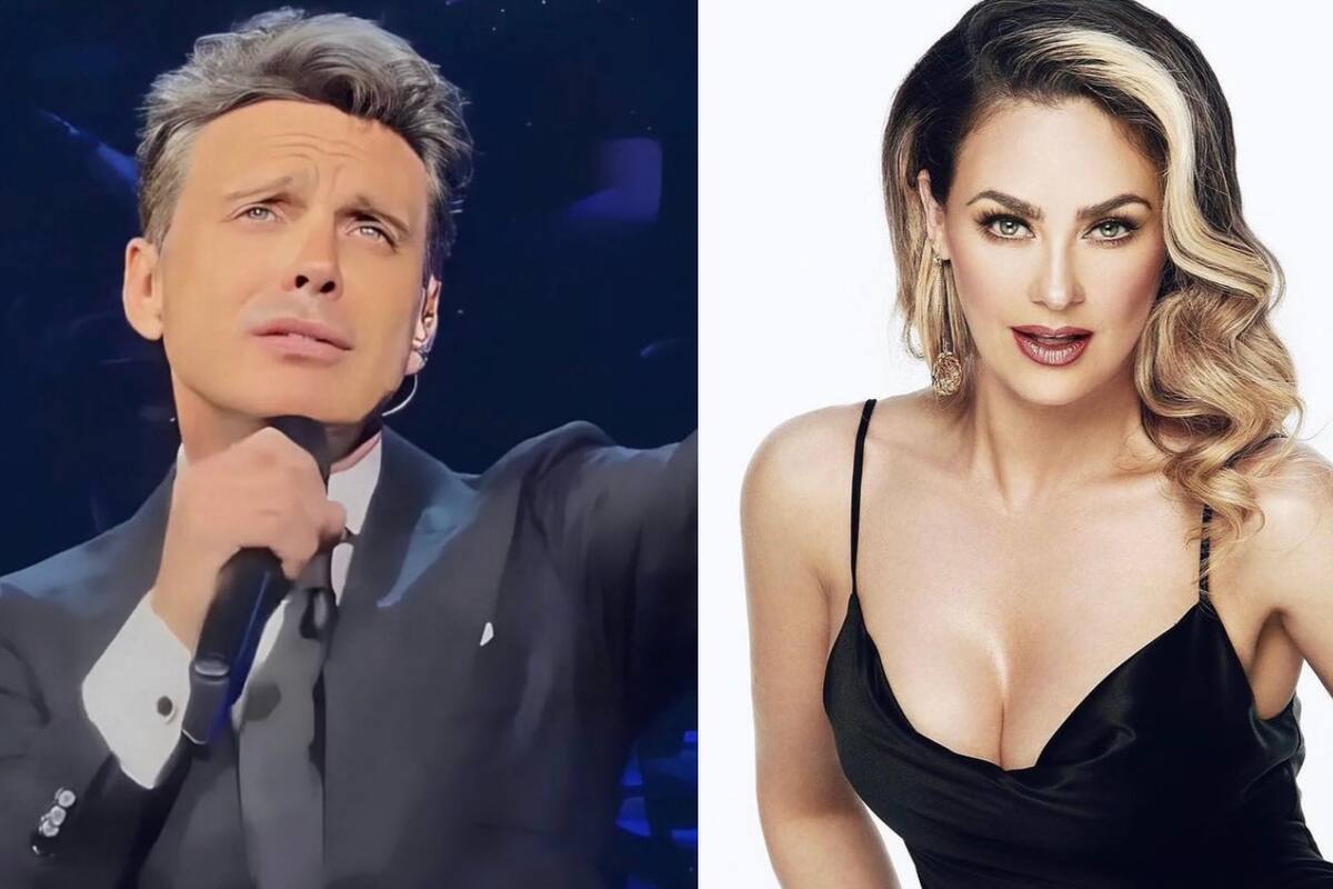 ¡Ahora sí! Aracely Arámbula DENUNCIA legalmente a Luis Miguel por "incumplimiento de pensión alimentaria"