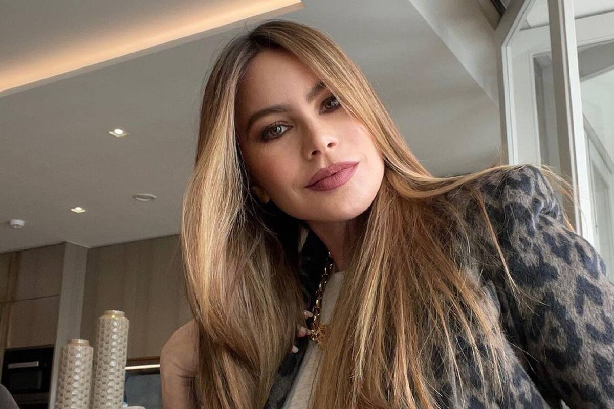 Sofía Vergara deja sus encantos al aire al posar sin bra