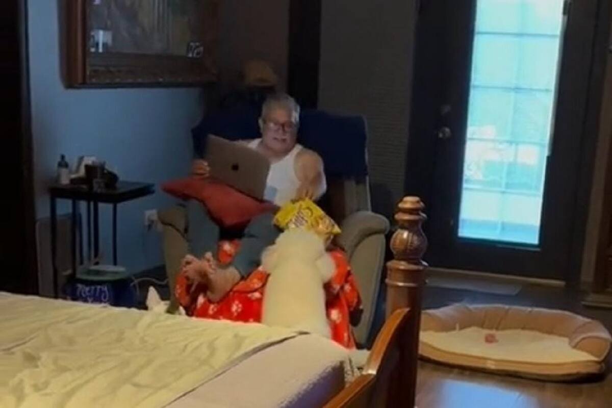 Perrita se vuelve viral en TikTok al llevarle frituras a su dueño