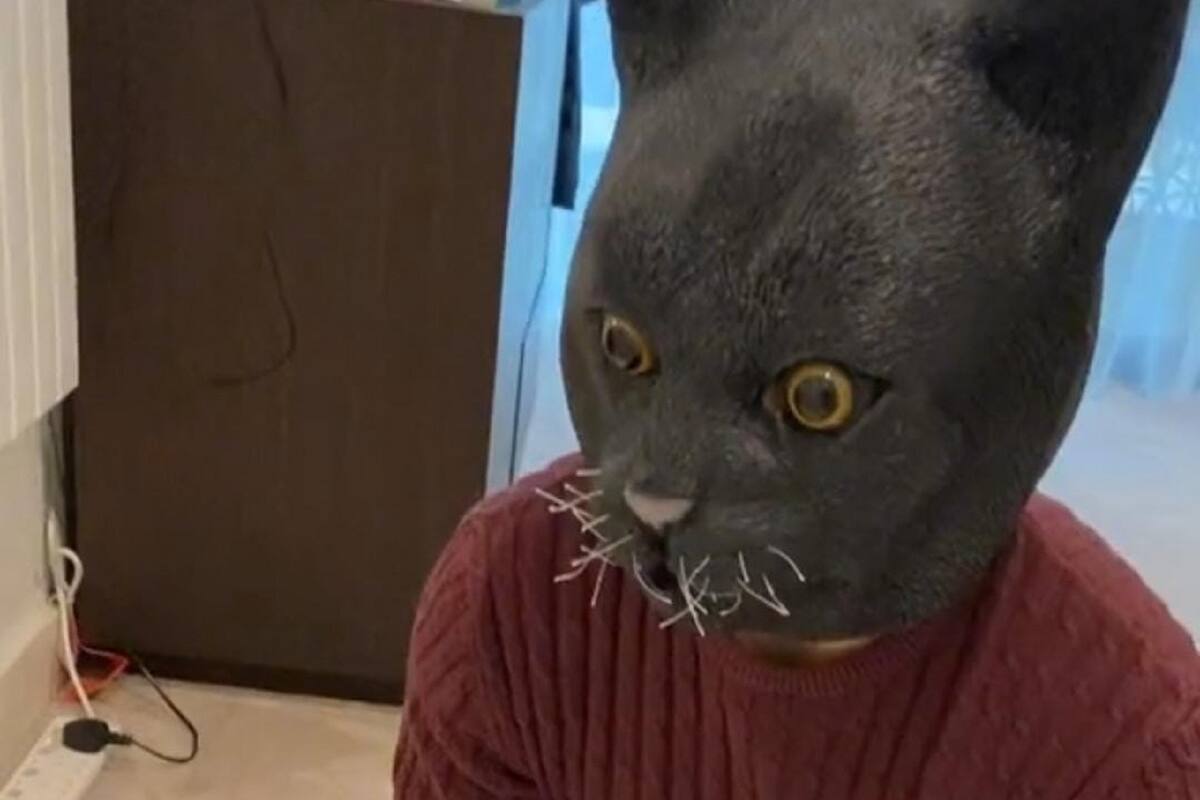 VIDEO VIRAL: Hombre le da gran susto a sus gatitos con máscara de gato