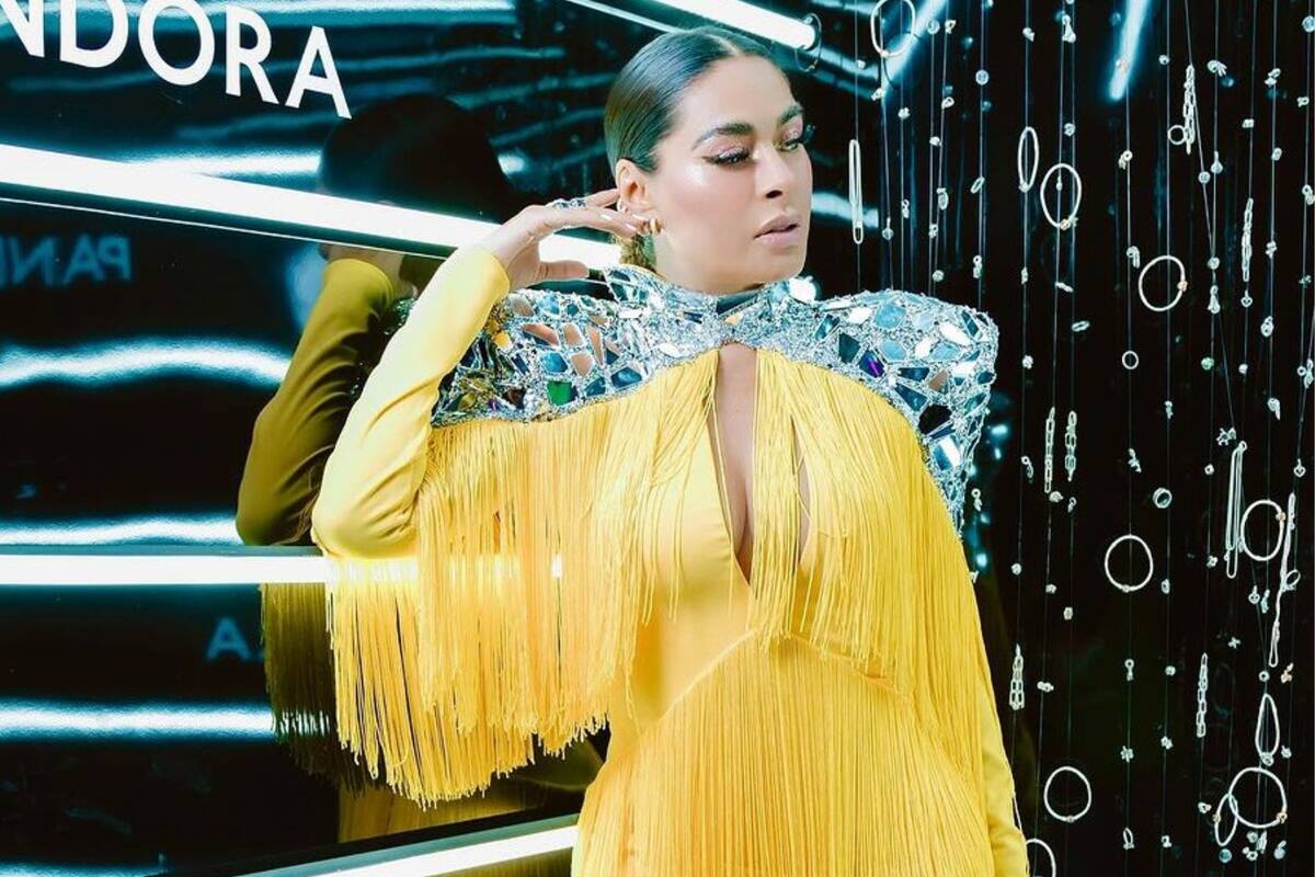 ¿Galilea Montijo está embarazada?