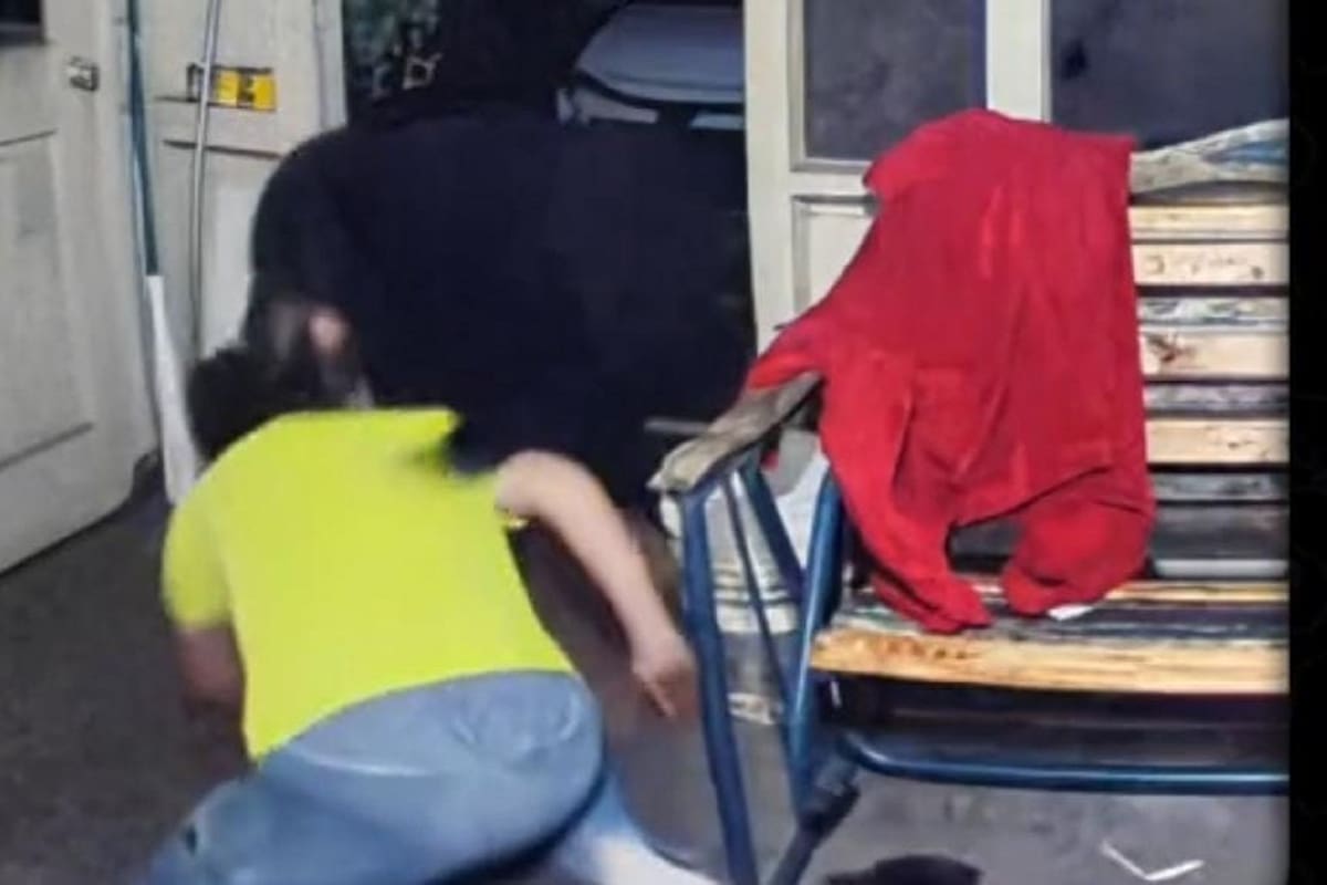 VIDEO VIRAL: Hombre salva a su perrito del ataque de un oso