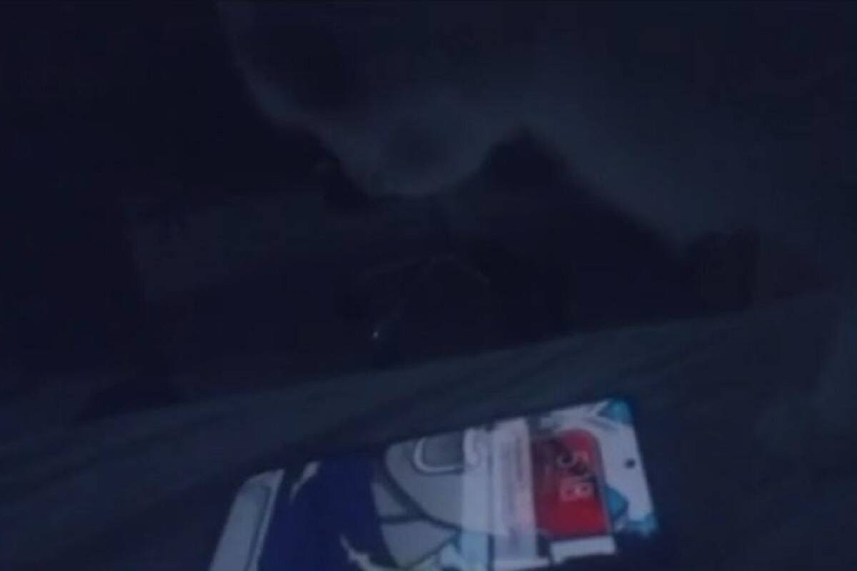 VIDEO VIRAL: Joven sorprende a su gato apagándole el despertador