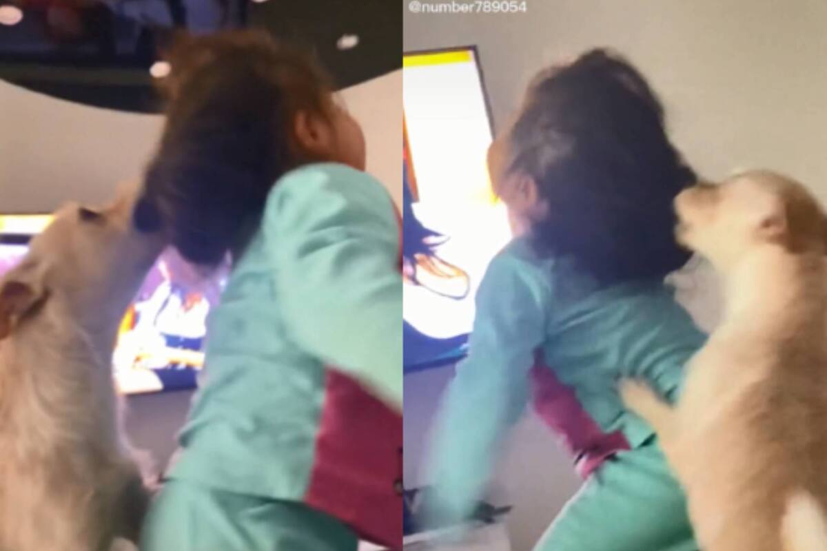 Perro ataca a niña y su madre la graba mientras se burla, recibe críticas: VIDEO