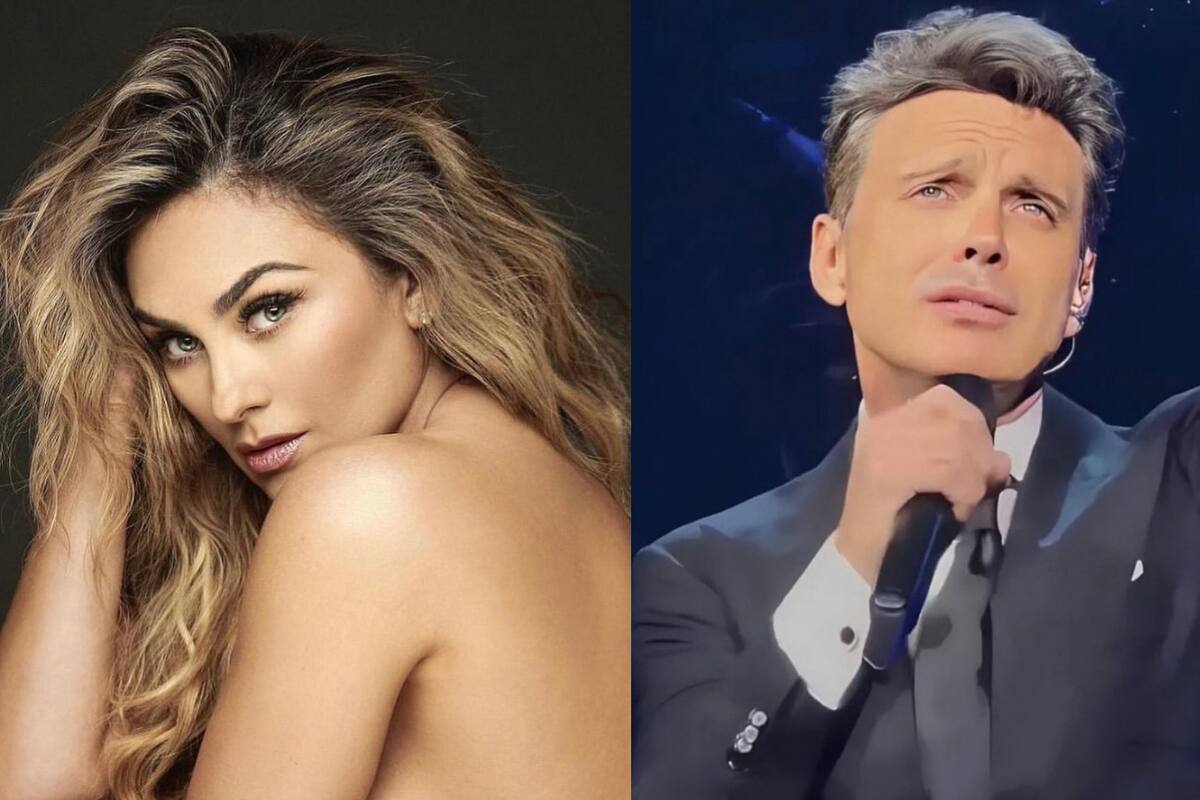 Luis Miguel saldó deuda de pensión a Aracely Arámbula: ¿Cuánto pagó realmente?
