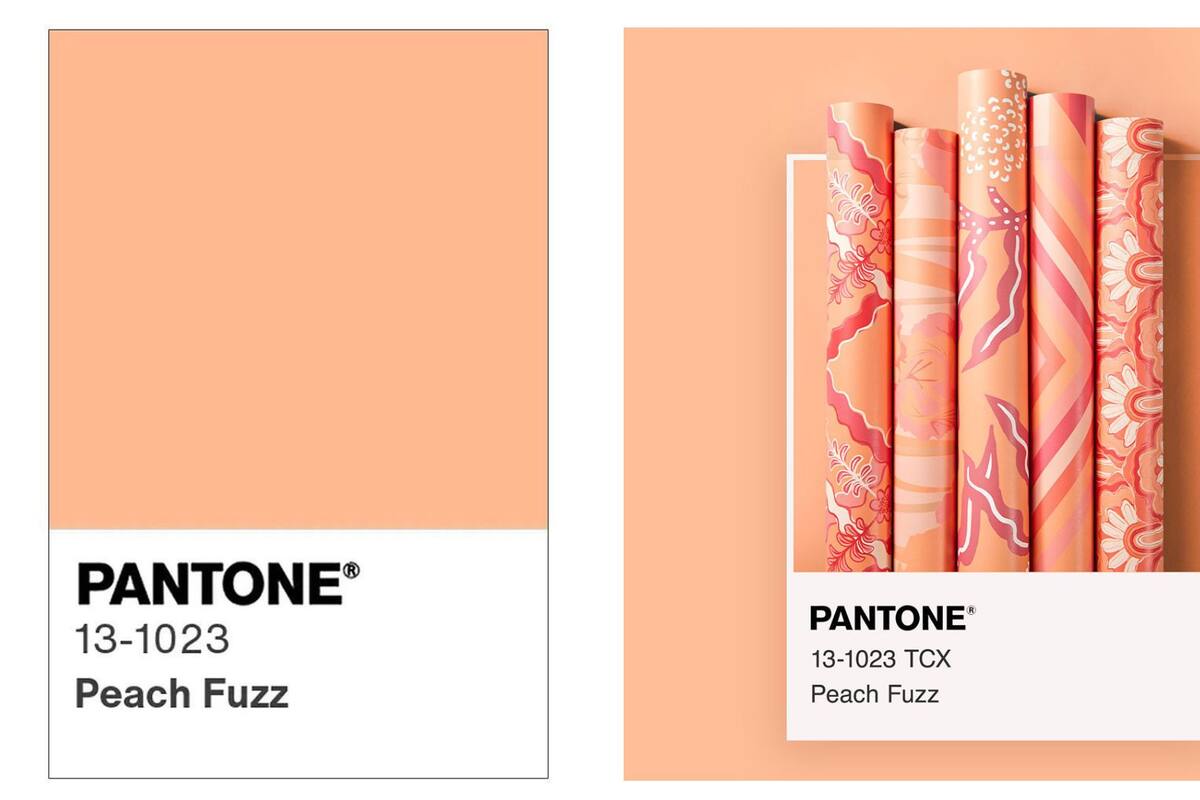 Pantone revela el Color del Año 2024: Peach Fuzz