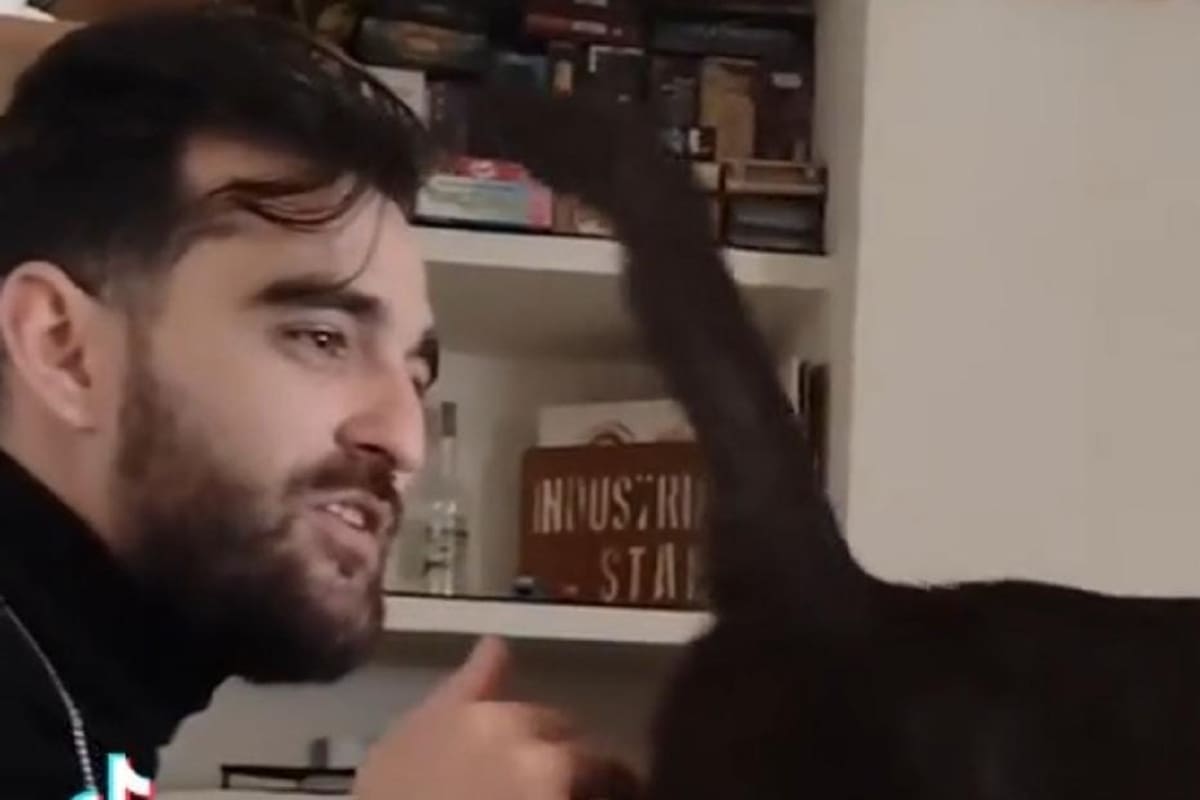 Gato saca sus mejores pasos de baile mientras su dueño le canta