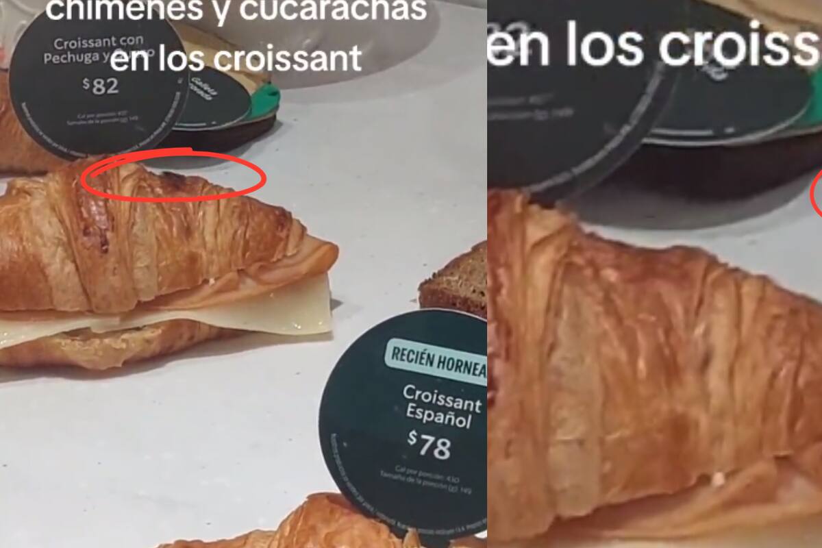 VIDEO: Cucarachas se pasean por la panadería de Starbucks ¡y nadie hace nada!