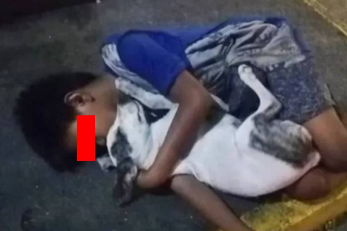 Niño sin hogar se hace viral por dormir abrazado de su fiel perrito sobre la vía pública