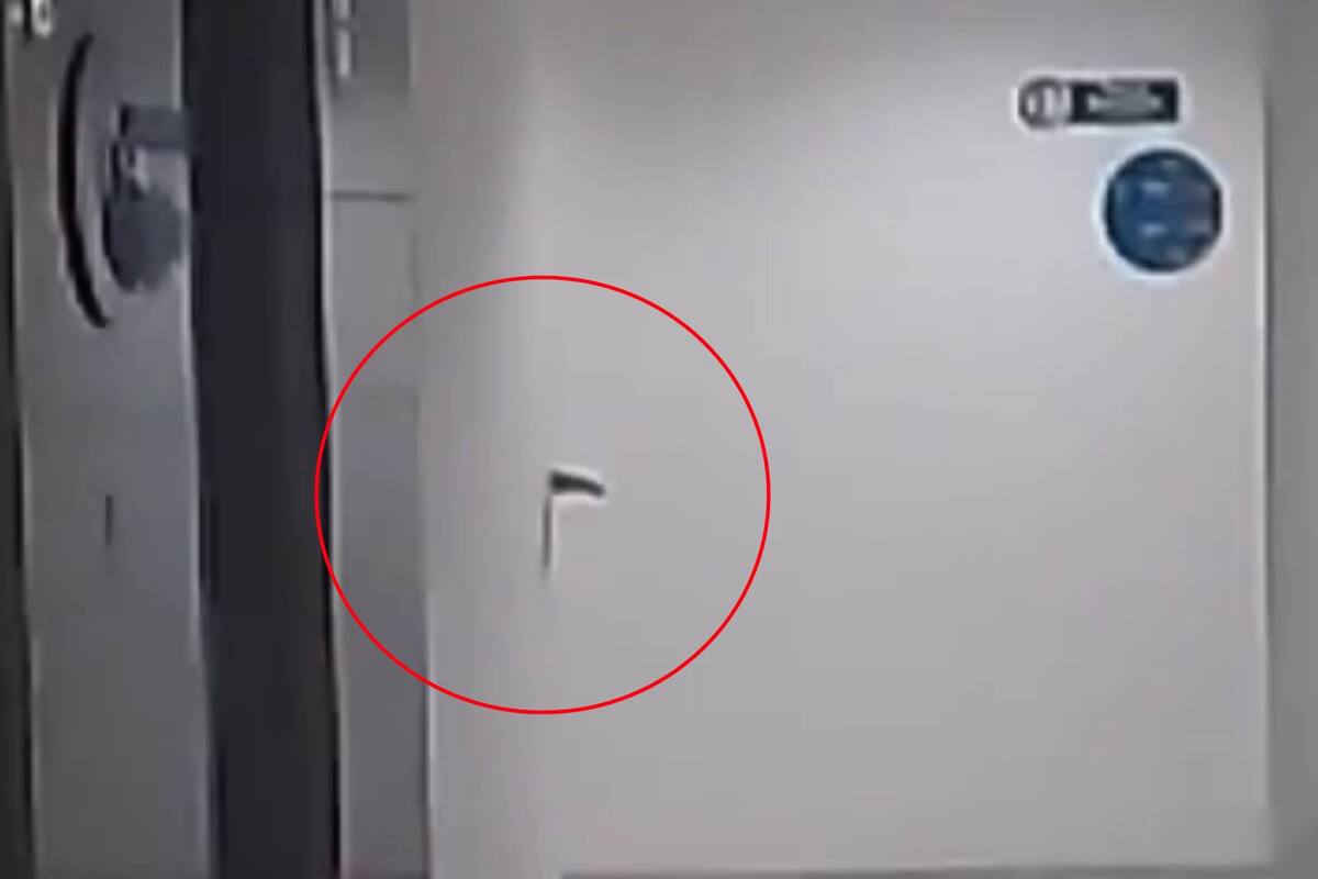 VIDEO: Valiente hombre capta a un extraño ser de madrugada en su trabajo