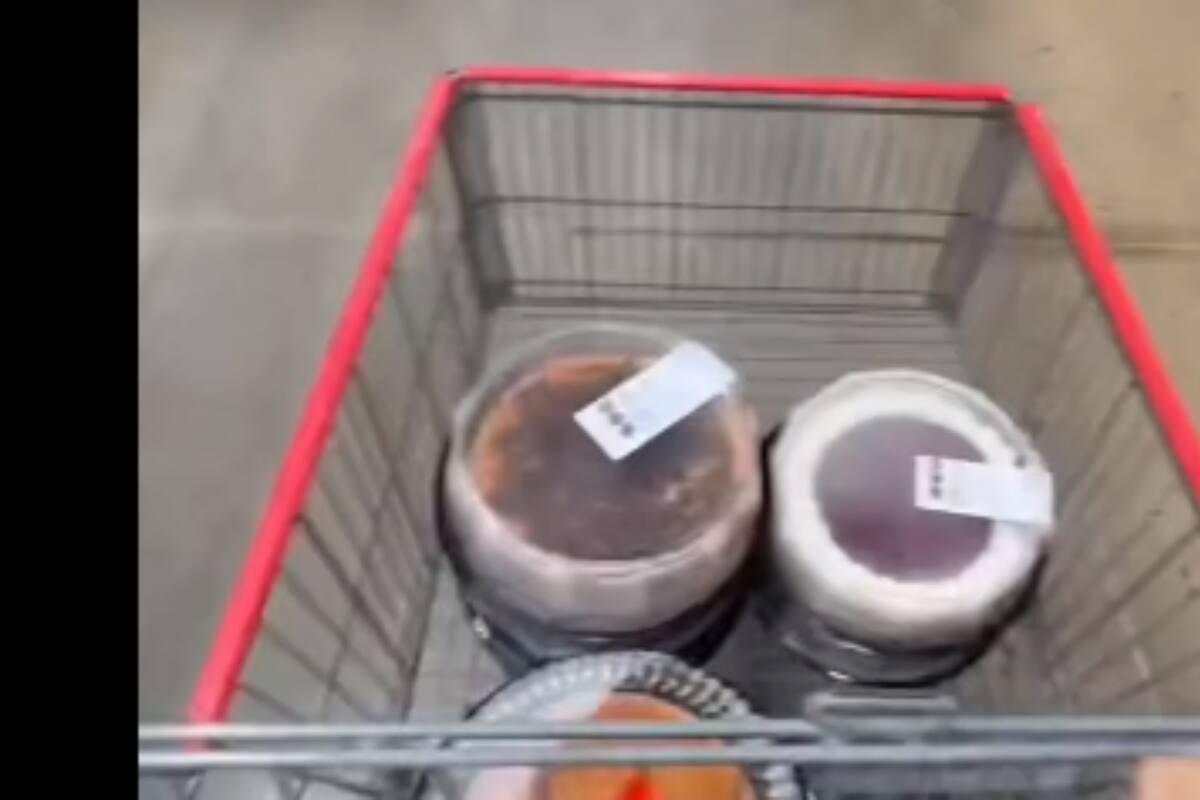 TikTok: Mujer revela cómo burlar las restricciones de pasteles de Costco
