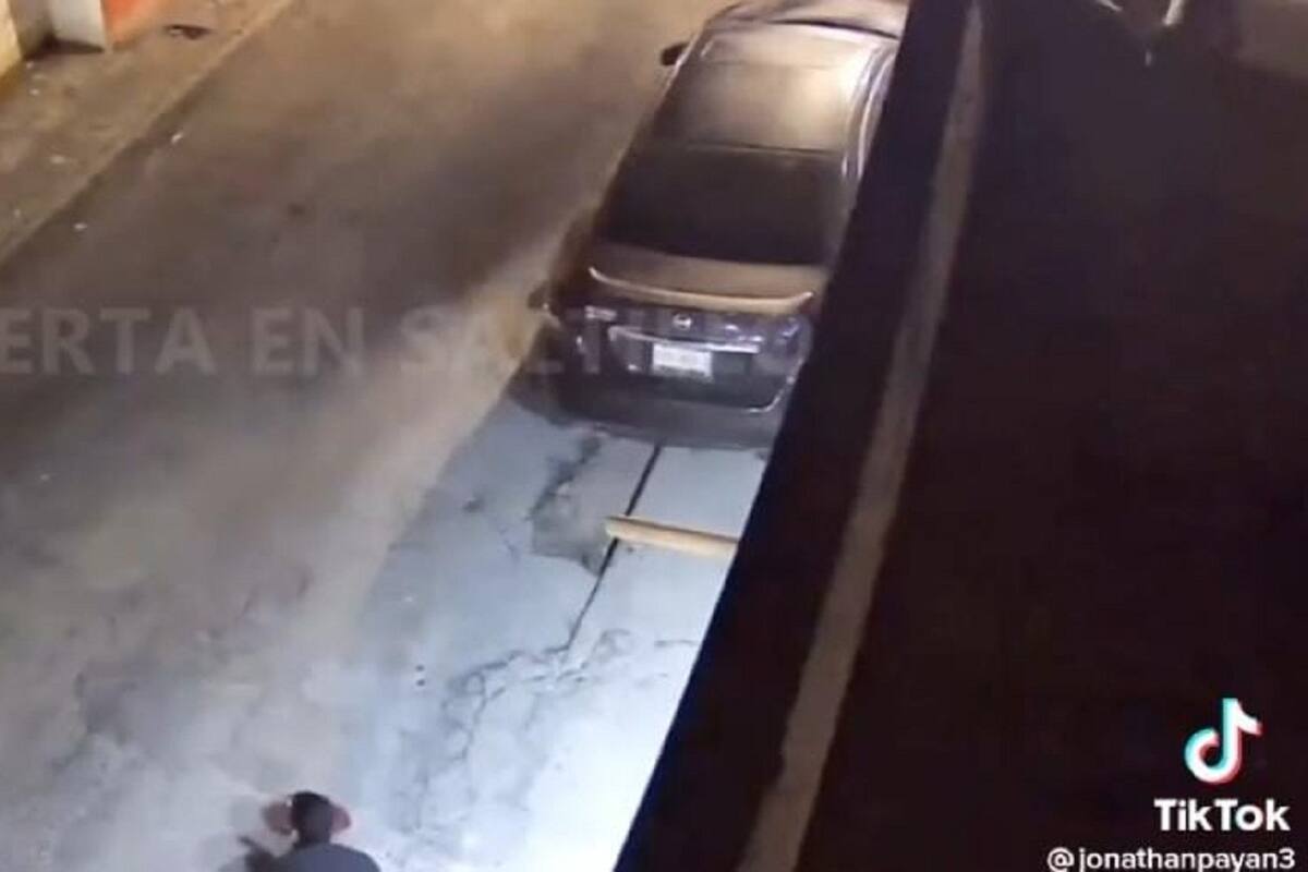 VIDEO VIRAL: Perritos frustran a un ladrón que intentó entrar a su casa